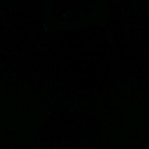 Meet your Posher, Cassie